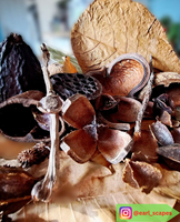 Bluewave Botanicals - Brand Partner - FULL LEAF PACK
