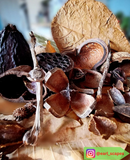 Bluewave Botanicals - Brand Partner - FULL LEAF PACK