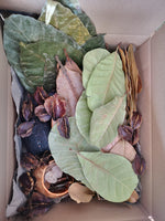 Bluewave Botanicals - Brand Partner - FULL LEAF PACK