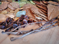 Bluewave Botanicals -Brand Partner - Large Leaf Pack