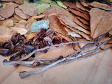 Bluewave Botanicals - Brand Partner - FULL LEAF PACK
