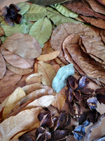 Bluewave Botanicals -Brand Partner - Large Leaf Pack