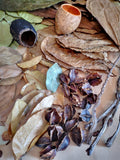 Bluewave Botanicals - Brand Partner - FULL LEAF PACK