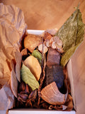 Bluewave Botanicals - Brand Partner - FULL LEAF PACK